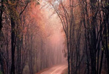 利物浦豪取两连胜，晋级欧洲俱乐部赛强