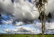 中国击剑选手斗智斗勇，成功摘金